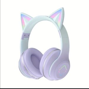 Cat ear headphones